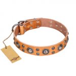 "Extra Sparkle" FDT Artisan Handcrafted Tan Leather Dogue de Bordeaux Collar