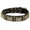 Dogue de Bordeaux Spiked Leather Collar with Nickel Plates