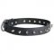 Dogue de Bordeaux Leather Collar Spiked 30 mm