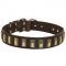 Leather Dogue de Bordeaux Collar with Small Brass Plates