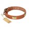 "Enchanting Spectacle" FDT Artisan Tan Leather Dogue de Bordeaux Collar with Old Bronze Look Plates and Round Studs