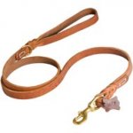 Walking and Training Leather Dogue de Bordeaux Leash with Comfy Handle