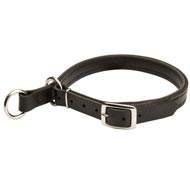 Leather Dogue de Bordeaux Choke Collar for Effective Training