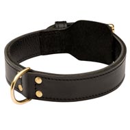 Training 2 Ply Leather Dogue de Bordeaux Collar