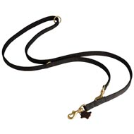 Nylon Dogue de Bordeaux Leash for Patrolling, Walking and Training