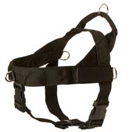 Dogue de Bordeaux Harness Nylon with Patches