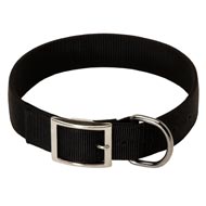 2 Ply Nylon Dogue de Bordeaux Collar