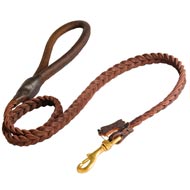 Dogue de Bordeaux Leather Braided Dog Leash