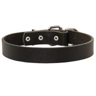 Leather Dogue de Bordeaux Collar for Walking and Training