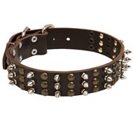 Walking Leather Dogue de Bordeaux Collar Decorated with Spikes and Studs