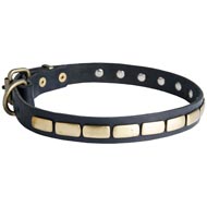 Elegant Leather Dogue de Bordeaux Collar with Brass Plates