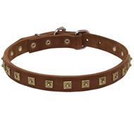 Handcrafted Leather Dogue de Bordeaux Collar with "Caterpillar" Studs