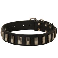 Leather Dogue de Bordeaux Collar with Shiny Plates