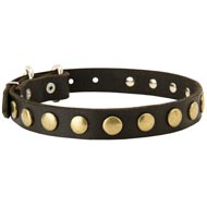 Leather Dogue de Bordeaux Collar with Brass Studs