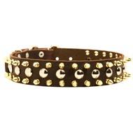Spiked and Studded Dogue de Bordeaux Leather Collar