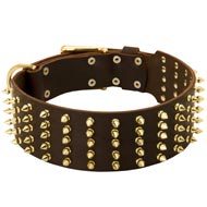 Wide Spiked Leather Dogue de Bordeaux Collar