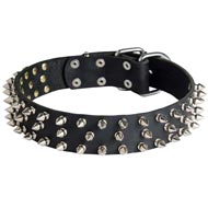 Leather Dogue de Bordeaux Collar with 3 Rows of Nickel Spikes