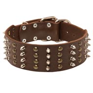 Extra Wide Leather Spiked and Studded Dogue de Bordeaux Collar