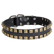 Leather Dogue de Bordeaux Collar with Brass Caterpillar Studs