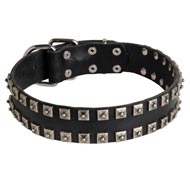 Leather Dogue de Bordeaux Collar with "Caterpillar" Studs