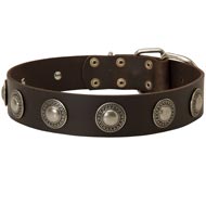Leather Dogue de Bordeaux Collar with Decorative Circles