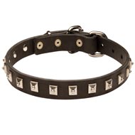 Dogue de Bordeaux Leather Collar Caterpillar Design