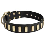 Leather Dogue de Bordeaux Collar with Small Brass Plates