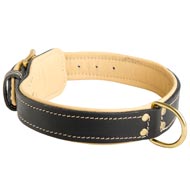 Royal Design Padded Leather Dogue de Bordeaux Collar
