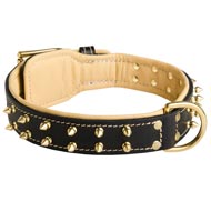 Royal Leather Dogue de Bordeaux Collar Spiked Padded with Nappa Leather
