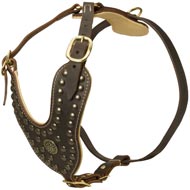 Royal Design Leather Dogue de Bordeaux Harness with Brass Studs