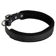 Padded Leather Dogue de Bordeaux Collar for Dog Training