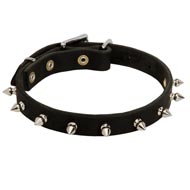 Stylish Spiked Leather Dogue de Bordeaux Collar for Walking