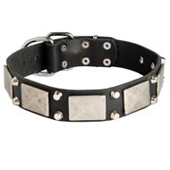 Leather Dogue de Bordeaux Collar Decorated with Nickel Cones and Plates