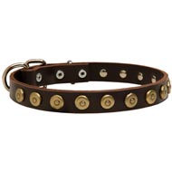Leather Dogue de Bordeaux Collar with Brass Dotted Studs