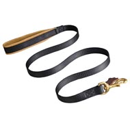 20 mm Nylon Dogue de Bordeaux Leash with Support Leather Material on the Handle