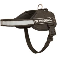 Nylon Dogue de Bordeaux Harness with Reflective Strap for Training, Walking, Police Service, SAR and More