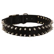 Dogue de Bordeaux Nylon Collar Spiked