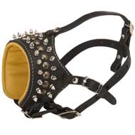 Royal Spiked and Studded Leather Dogue de Bordeaux Muzzle