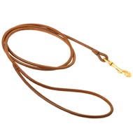 Round Leather Dogue de Bordeaux Leash for Dog Shows