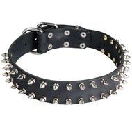 Leather Dogue de Bordeaux Collar with 2 Rows of Nickel Spikes