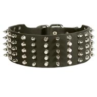 Dogue de Bordeaux Leather Collar Spiked and Studded