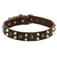 Leather Dogue de Bordeaux Collar with Studs and Pyramids