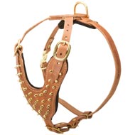 Brass Spiked Leather Dogue de Bordeaux Harness for Fashion Walking