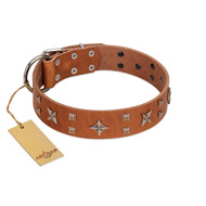 "Dreamy Gleam" FDT Artisan Tan Leather Dogue de Bordeaux Collar Adorned with Stars and Squares