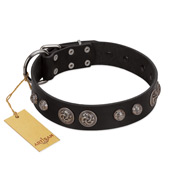 "Tricky Ricky" FDT Artisan Black Leather Dogue de Bordeaux Collar Adorned with Silver-Like Conchos