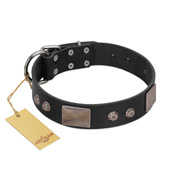 "Square Stars" Modern FDT Artisan Black Leather Dogue de Bordeaux Collar with Square Plates and Studs