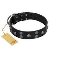 "Skull Art" Designer Handmade FDT Artisan Black Leather Dogue de Bordeaux Collar with Skulls