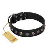 "Black Knight" Handmade FDT Artisan Black Leather Dogue de Bordeaux Collar with Silver-Like Studs