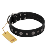 "Mr. Elegance" Designer FDT Artisan Black Leather Dogue de Bordeaux Collar with Silver-Like Studs