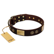 "Bow-Wow Effect" FDT Artisan Brown Leather Dogue de Bordeaux Collar with Plates and Ornate Studs